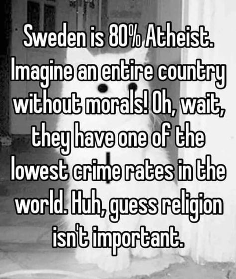 Atheist Humor, Atheist Quotes, Losing My Religion, Anti Religion, Question Everything, The Words, Thought Provoking, Wise Words, Words Of Wisdom