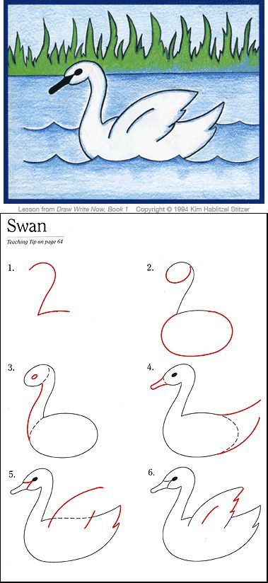 Draw Your World Swan Drawing Lesson for Children Trin For Trin Tegning, Swan Drawing, Number Drawing, Pencil Eraser, Art Drawings For Kids, Drawing Lessons, Mail Art, Elementary Art, Teaching Tips