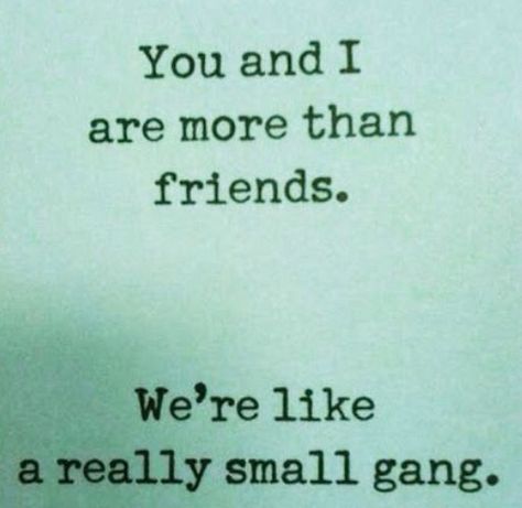 We're like a really small gang! Best Funny Quotes Ever, Funniest Quotes Ever, Best Funny Quotes, Gang Members, Besties Quotes, Friend Quotes, Bff Quotes, Friends Quotes Funny, Best Friend Quotes