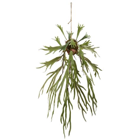 4ft. Staghorn Hanging Plant | Michaels Staghorn Plant, Faux Trees, Artificial Hanging Plants, Plant Hanging, Staghorn Fern, Ivy Plants, Floor Plants, Fern Plant, Faux Tree