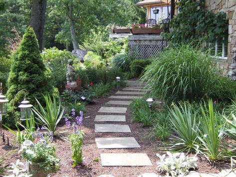 Alberta Spruce, Landscape Tips, Front Flower Beds, Small Courtyard, Acid Loving Plants, Courtyard Design, Garden Whimsy, Tree Canopy, Garden Images