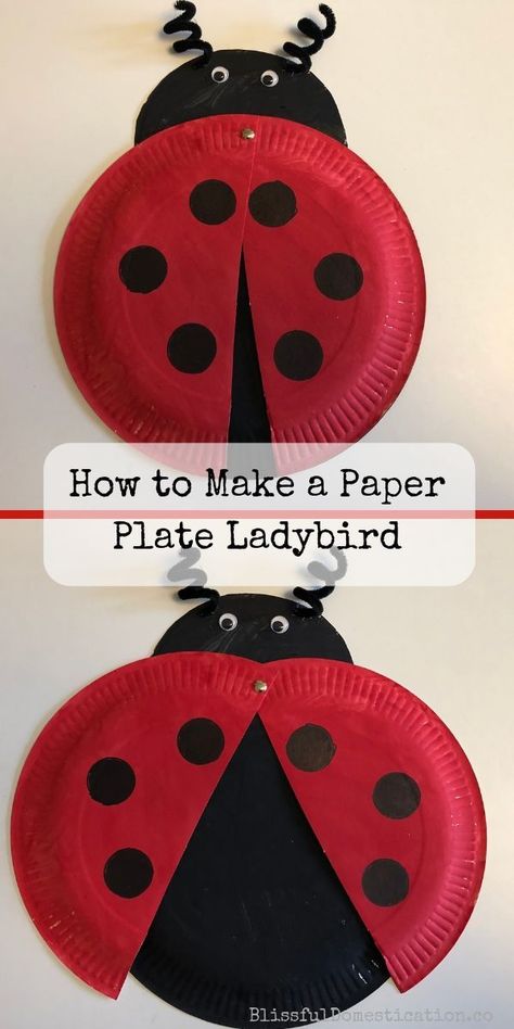 How to mkae a paper plate ladybird pin Ladybird Craft, Ladybug Craft, Paper Plate Animals, Paper Plate Craft, Rainbow Craft, Paper Plate Crafts For Kids, Ladybug Crafts, Paper Plate Crafts, Christian Kids