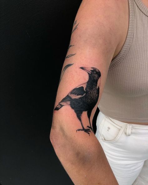 Kane Trubenbacher on Instagram: “Freehand Magpie for alpine ecologist Alex. Ask her about Dustin Martin @phillip_island_tattoo” Magpie Back Tattoo, Tattoo Magpie, Kneecap Tattoo, Dustin Martin, Aboriginal Tattoo, Magpie Tattoo, Island Tattoo, Phillip Island, Dot Tattoos