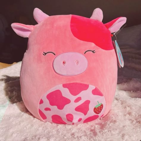 Pink Cow Stuffed Animal, Squishmallow Strawberry Cow, Strawberry Cows, Cow Room, Potato Cat, Cow Squishmallow, Zootopia Judy Hopps, Chocolate Cow, Squish Mellow