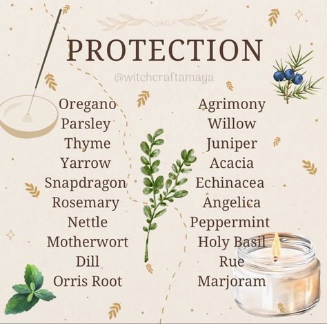 Herb Meanings, Protection Herbs, Plant Magick, Witchcraft Knowledge, Herbs For Protection, Magic Energy, Goddess Magick, Candle Magic Spells, Witchcraft Herbs