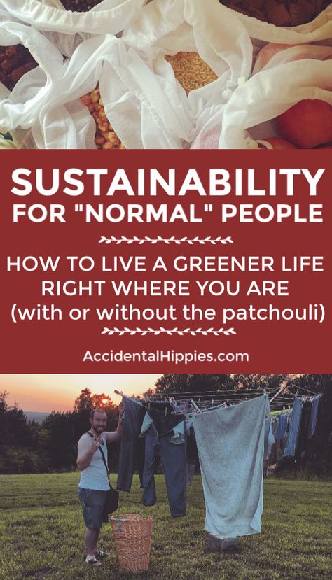 More Sustainable Living, Live Sustainably, Tips For Sustainable Living, How To Live More Sustainably, Allotment Plan, How To Be More Eco Friendly Tips, Environmentally Friendly Living, Urban Farmer, Normal People