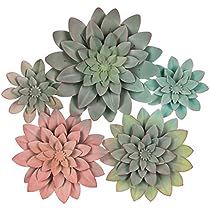 Succulent Wall Decor, Metal Wall Flowers, Bathroom Flowers, Wall Decor Hobby Lobby, Succulents Decor, Succulent Wall, 3d Metal, Art Products, Framed Mirror Wall