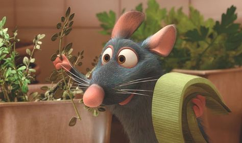 Remy The Rat, Ratatouille Movie, Ratatouille 2007, Ratatouille Disney, Disney Pixar Movies, Star Wars Disney, Pixar Movies, Pinturas Disney, Disney Aesthetic