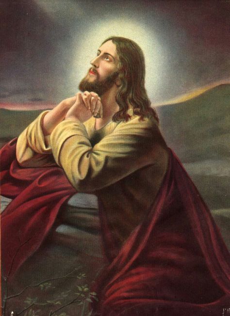 Jesus Our Savior, Jesus Christ Painting, Jesus Christ Artwork, Our Father In Heaven, Jesus Praying, Religious Pictures, Jesus And Mary Pictures, Jesus Photo, Christian Artwork