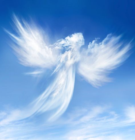 Photo Crafts, Angel Clouds, I Believe In Angels, Ange Demon, Angels Among Us, Angels In Heaven, Guardian Angels, Angel Pictures, Fairy Angel