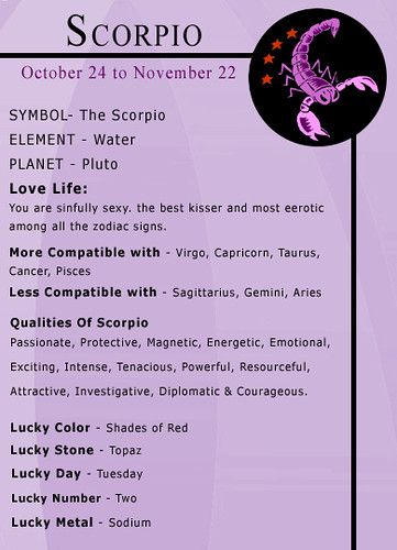 Zodiac Signs Scorpio Facts, Zodiac Sign Facts Scorpio, Scorpio Horoscope Art, Scorpio Soulmate Sign, Zodiac Basics, Scorpio X Scorpio, Facts About Scorpio, Scorpio Zodiac Art, Scorpion Zodiac Sign