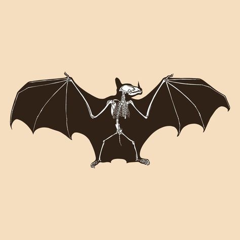 Bat Skeleton Drawing, Bat Skeleton Tattoo, Bat Skeleton Art, Bat Skeleton Wallpaper, Bat Hanging Drawing, Bat Anatomy Illustration, Bat Vector Illustration, Victorian Bat Illustration, Bat Vector