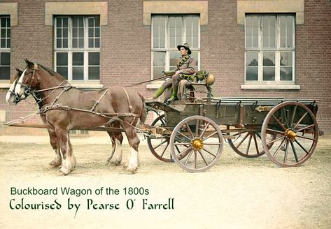 Horse Wagon, Western Ideas, Horse And Buggy, High Performance Cars, Dnd Campaign, British Military, Horse Drawn, Anne Of Green Gables, Green Gables