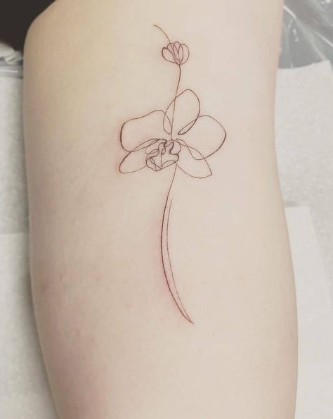 Purple Orchid Tattoo, Orchid Tattoo Meaning, Orchid Tattoos, Hen Tattoo, Orchid Flower Tattoos, Orchid Tattoo, Aquarius Tattoo, Friendship Tattoos, Elegant Tattoos