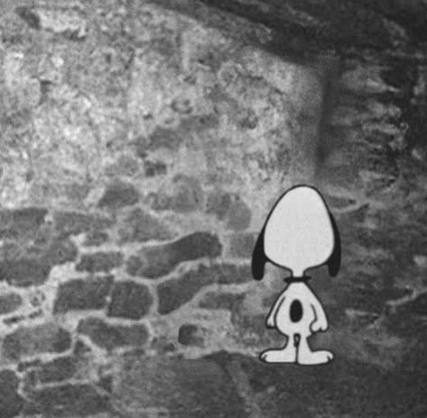 The Blair Witch Project, Blair Witch Project, Blair Witch, A Cartoon, Witch, Snoopy, On Twitter, Twitter, Wall