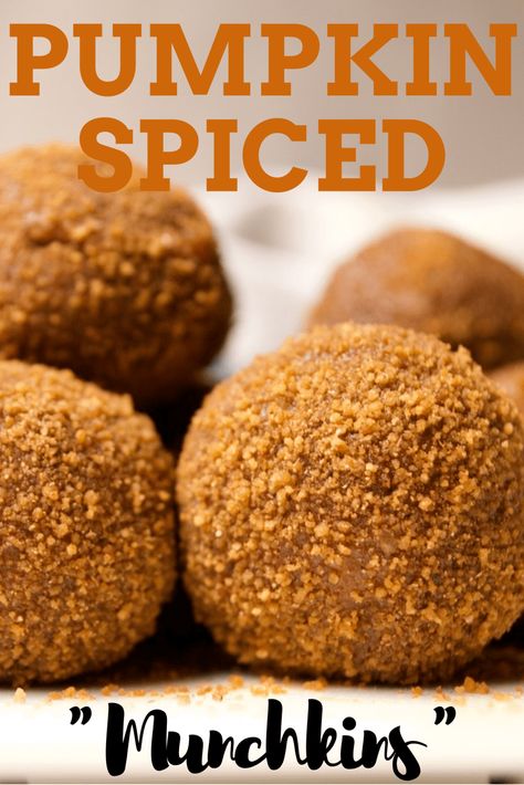 Raw Pumpkin Spiced "Munchkin" Energy Bites -- Gluten Free! Pumpkin Munchkin Recipe, Munchkin Recipe, Munchkin Pumpkin, Pumpkin Spice Keto, Pumpkin Protein Bites, Ginger Snap Pumpkin Pie Bites, No Bake Pumpkin Spice Energy Bites, Pumpkin Spice Bites, Pumpkin Bites