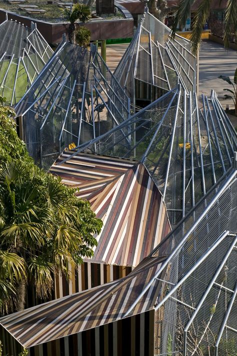 Gallery of Cages for Macaws / Enric Batlle & Joan Roig Architects - 2 Zoo Design, Zoo Architecture, Bird Aviary, Conceptual Architecture, Architectural Inspiration, Urban Jungle, Barcelona Spain, The Palm, Architecture Project