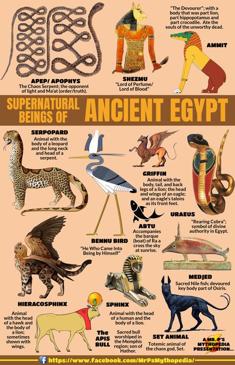 Supernatural Beings of Egyptian Mythology! #EgyptianMythology #Monsters #Supernatural #Creatures #Egypt #EgyptianCreatures #Mythology #MrPsMythopedia  https://www.facebook.com/MrPsMythopedia/ Starověký Egypt, Ancient Egypt Gods, Myths & Monsters, Mythical Monsters, World Mythology, Ancient Egyptian Gods, Legends And Myths, Ancient Mythology, Egypt History