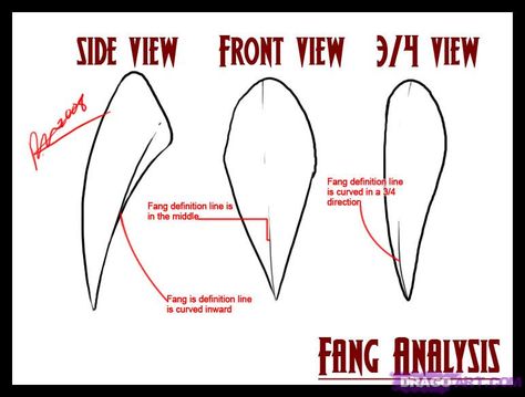 How to Draw Vampire Fangs and Teeth, Step by Step, Vampires ... Draw Vampire, Teeth Drawing, Vampire Drawings, Mouth Drawing, Vampire Fangs, Lips Drawing, Drawing Expressions, Guided Drawing, Anatomy Reference