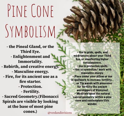 Pinecone Spells, Pinecone Meaning, Pinecone Meaning Witch, Pine Witchcraft, Pine Meaning Witchcraft, Pinecone Spiritual Meaning, Pinecone Magic, Pine Cone Spiritual Meaning, Pinecones Witchcraft