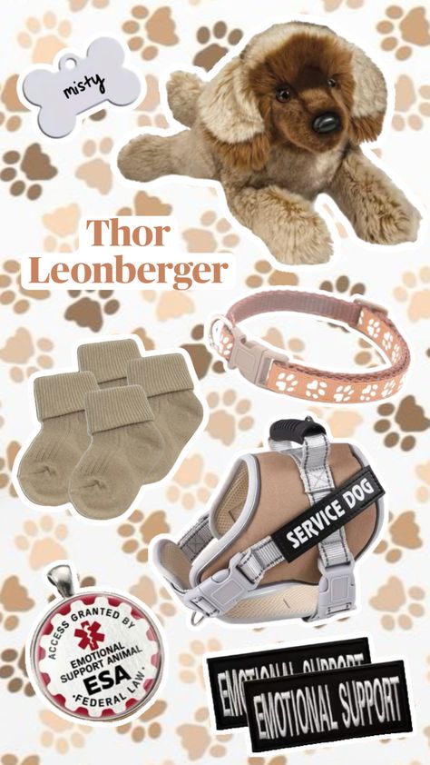 #douglasdog #leonberger #essa #agere #emotionalsupportstuffedanimal #ageregression #plushies #douglasplush #ageregressor #outfit #moodboard #aesthetic #outfitinspo #dogfashion Preppy Desk Decor, Leonberger Dog, Dog Sewing Patterns, Custom Lps, Shepherd Dog Breeds, Emotional Support Dog, Dog Enrichment, Cute Sewing Projects, Support Dog