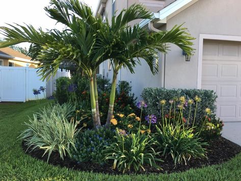 Grasses For Landscaping Curb Appeal, North Florida Landscaping Ideas Front Yards, Tropical Landscaping Front Yard Florida Garden Ideas, Florida Xeriscape, Florida Landscaping Ideas, Florida Plants Landscaping, Tropical Backyard Landscaping, Landscape Aesthetic, Palm Trees Landscaping