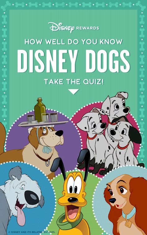 Dog Trivia, Dog Quizzes, Quizzes Disney, Buzzfeed Quizzes Disney, Dog Quiz, Film Quiz, Dog Infographic, Disney Quizzes, Animal Quiz