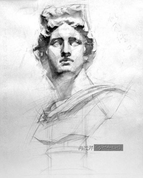 Yim Mau-Kun, classical bust study, Apollo Statue Study Sketch, Greek Drawing, 얼굴 드로잉, Hand Drawn Portraits, Art Basics, Academic Art, Still Life Drawing, Arte Sketchbook, Portrait Sketches