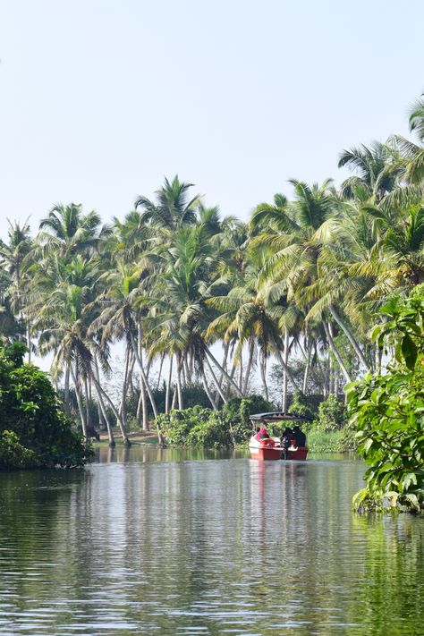 Poovar Island, located near Trivandrum in Kerala, offers a stunning blend of serene backwaters, golden beaches, and lush greenery. Visitors can explore the peaceful Poovar Beach, take a boat ride through the calm backwaters, and experience the confluence of the Neyyar River and the Arabian Sea. The island is also home to luxurious resorts, such as Club Mahindra Poovar, and provides a glimpse into traditional village life in Kerala, making it a perfect tranquil escape. Hidden Oasis, Kerala Backwaters, Golden Beach, Perfect Harmony, Sandy Beaches, Kerala, Oasis, Paradise, Travel