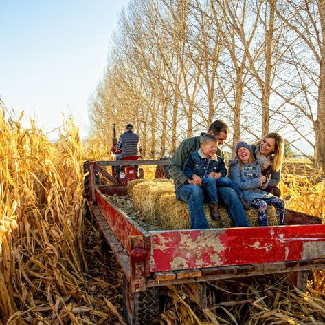 Hay Ride Ideas, Thanksgiving Scavenger Hunt, Hay Ride, Thanksgiving Activity, Treasure Hunts, Fall Faves, Fun Fall Activities, Fall Fest, Creative Pumpkins