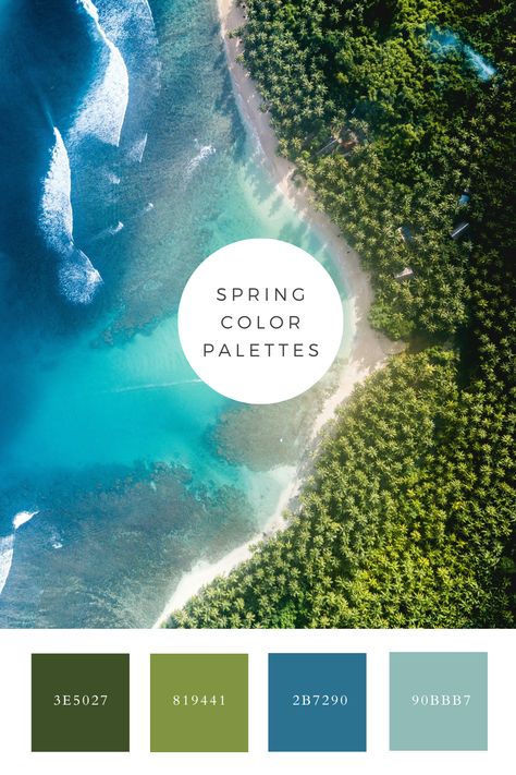 Dive into paradise with our Island Oasis Color Palette Generator. Oasis Color Palette, Hawaii Color Palette, Island Color Palette, Color Scheme Generator, Spring Color Palette, Inflammatory Diet, Interior Sketch, Palette Color, Spring Color