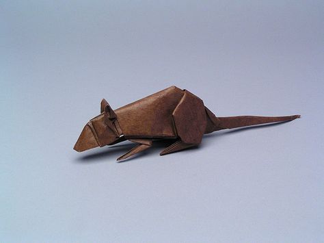 Robert J. Lang rat, opus159 diagrams in the book Origami Zoo Origami Rat, Folded Paper Flowers, Origami Animal, Origami Shapes, Glass Bird Feeders, Origami Paper Folding, Origami Diagrams, Paper Fish, Origami Fish