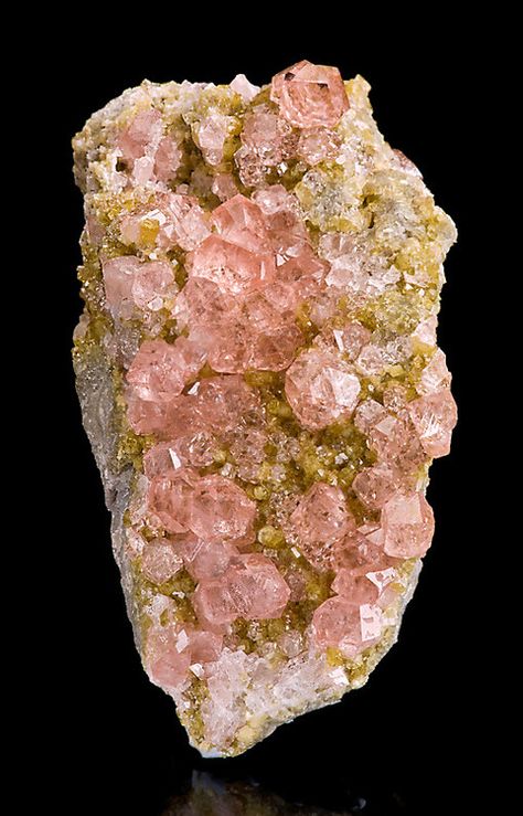 INCREDIBLY RARE!  Pink Garnets with Green Diopside Jeffery Mine, Canada Ornamental Elements, Pink Jasper, Pink Geode, Minerals Crystals Rocks, Pink Garnet, Pretty Rocks, Crystal Magic, Beautiful Rocks, Mineral Stone