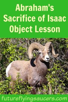 This lesson based upon Abraham's Sacrifice of Isaac will help children to understand the meaning of sacrifice and why God asks us to be a living sacrifice. ~ futureflyingsaucers.com Isaac Sacrifice Craft For Kids, Ahg Crafts, Sacrifice Of Isaac, Abraham And Isaac, Living Sacrifice, Abrahamic Covenant, Abraham Isaac, Chapel Ideas, Youth Lessons