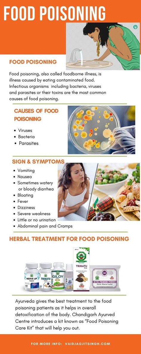 Food Poisoning Foods To Eat, Food Poisoning Remedy Natural Treatments, Food Poisoning Remedies, Food Poisoning Symptoms, Food Contamination, Nursing Skills, Health Equipment, Contaminated Food, Ant Killer