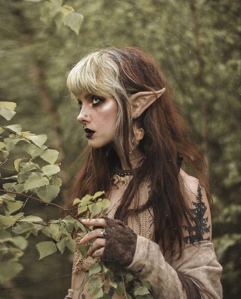 Elven Makeup, Forest Elf Aesthetic, Fae Costume, Dark Fairy Core, Elf Cosplay, Forest Elf, With My Best Friend, Elf Clothes, Portrait Cartoon