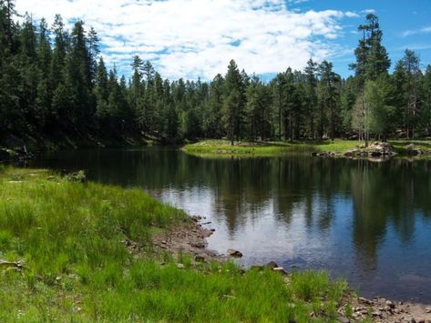 Mogollon Rim, Arizona Lakes, All The Bright Places, Visit Arizona, Rocky Shore, Small Lake, Camping Locations, Lake Powell, Sunny Afternoon