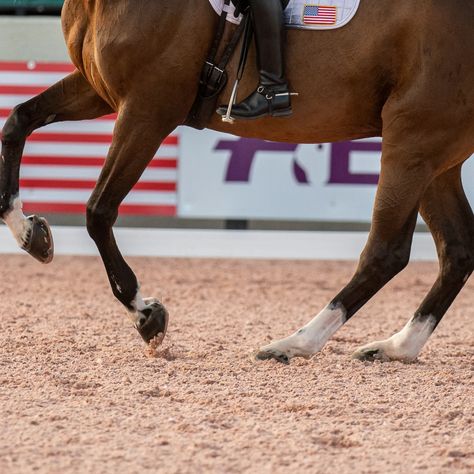 2 Exercises to Improve the Pirouette Canter - Dressage Today High Speed Photography, Horse Stuff, Dressage, Equestrian, Horses