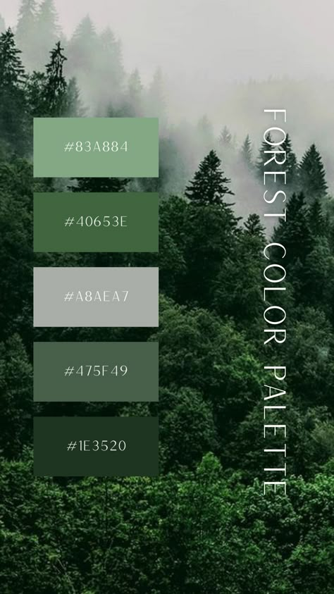 Discover the deep tranquility of the forest with this color palette. This palette captures the serene essence of a forest landscape. Perfect for projects aiming for a natural, serene, and grounded aesthetic. #ColorPalette #DesignInspiration #branding #colortheory #canva #color Over The Garden Wall Palette, Shades Of Forest Green, Forest Green Palette, Deep Green Color Palette, Color Palette Forest, Grounded Aesthetic, Forest Color Palette, Pallette Color, Webinar Design