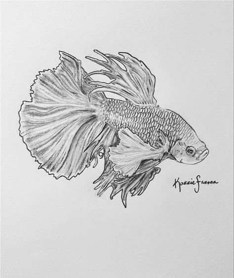 Betta Fish Drawing Easy, Beta Fish Sketch, Betta Watercolor, Beta Fish Tattoo Design, Betta Fish Sketch, Betta Drawing, Betta Fish Drawing, Beta Fish Tattoo, Beta Fish Drawing