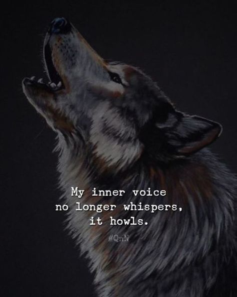 My inner voice no longer whispers, it howls. Non Confrontational, Lioness Quotes, Alpha Quote, Lone Wolf Quotes, Sunsets Hawaii, Werewolf Aesthetic, Wolves And Women, Relationships Quotes, Wolf Quotes