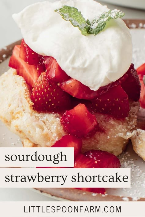 Sourdough Strawberry, Best Strawberry Cake Recipe, Little Spoon Farm, Easy Sourdough Discard Recipes, Sourdough Pretzels, Easy Sourdough Recipes, Sourdough Starter Discard Recipes, Make A Sourdough Starter, Starter Discard Recipes