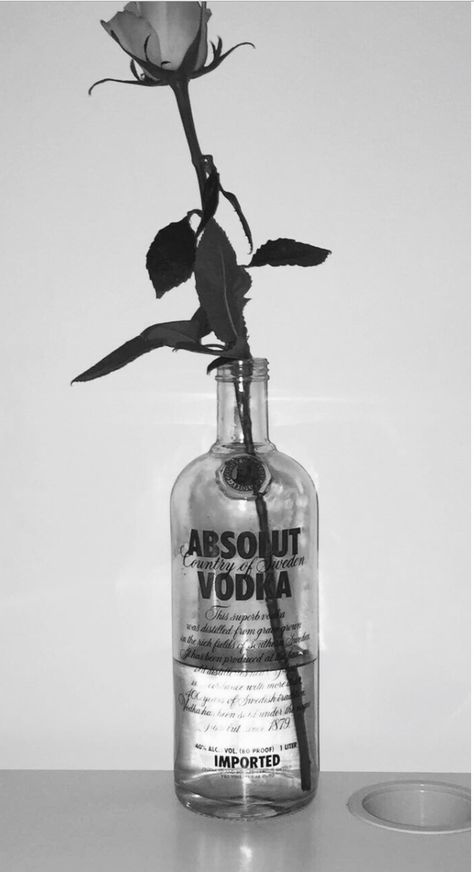 Vodka Tumblr Aesthetic, Room Canvas, Black And White Background, Photos Tumblr, Iphone Wallpaper Vintage, Anime Scenery Wallpaper, Red Aesthetic, Scenery Wallpaper, Aesthetic Backgrounds