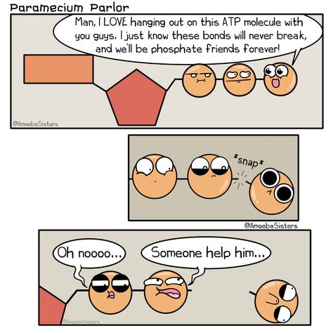 biology, atp, phosphate, science, scicomm, sciart, comic, cartoon Atp Biology, Amoeba Sisters, Biology Jokes, Biology Memes, Science Cartoons, Science Comics, Biology Humor, Medical Memes, Science Puns