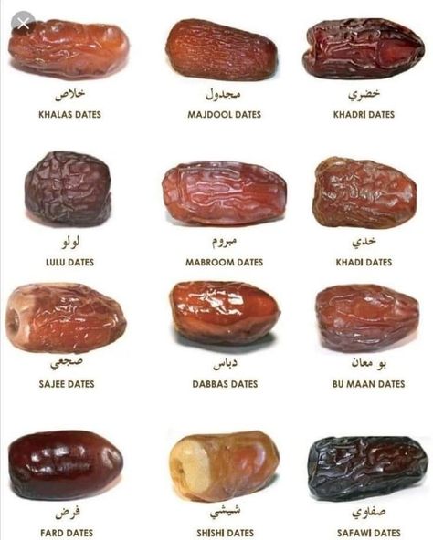 Types Of Dates, Dry Fruits Benefits, Date Recipes Desserts, Health Facts Food, Fruit Benefits, Date Recipes, Food Facts, Arabic Food, Pinterest Recipes