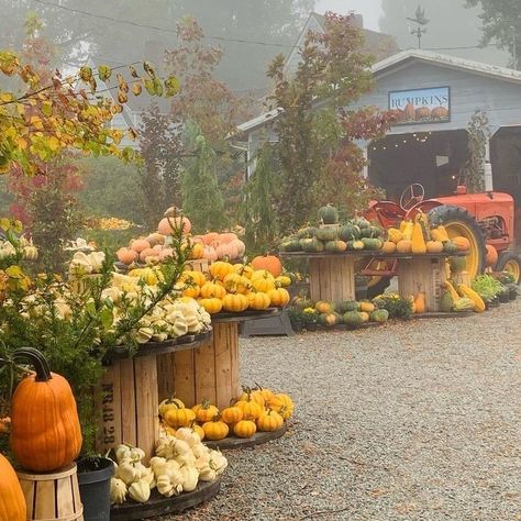 Retail Pumpkin Display, Pumpkin Sale Display, Pumpkin Farm Display, Fall Garden Center Displays, Pumpkin Display Ideas Outside, Pumpkin Patch Set Up, Pumpkin Stand Ideas, Pumpkin Patch Business Ideas, Pumpkin Patch Entrance