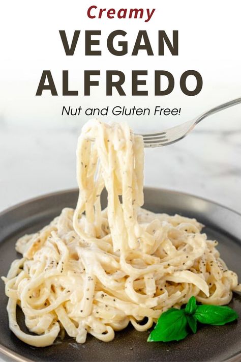 Vegan Alfredo Sauce Coconut Milk, Easy Vegan Alfredo Sauce, Fetuchini Alfredo, Aip Sauces, Homemade Staples, Dairy Free Alfredo Sauce, Vegan Pasta Sauce, Vegan Journey, Vegan Alfredo Sauce