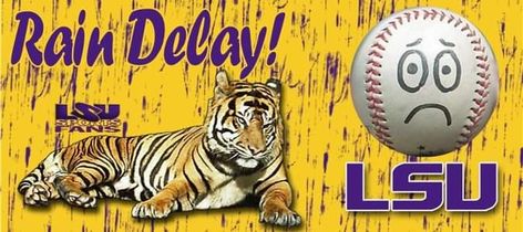 Lsu Tigers Baseball, Lsu Game, Geaux Tigers, Tigers Baseball, Lsu Tigers, Game Time, Mlb Baseball, Tigers, Mlb