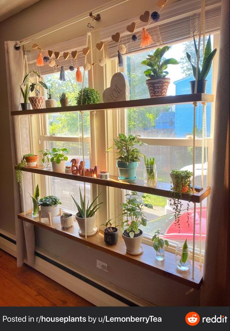 Window Shelf For Plants, Window Plant Shelf, Indoor Plant Shelves, Window Shelf, Plant Window, Cool Office Space, Window Plants, Window Shelves, Indoor Window