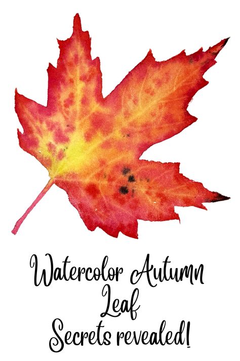 Transform your artistic vision with this mesmerizing watercolor maple leaf tutorial! 🍁🎨 In this video, we take a real autumn leaf as our muse and combine it with an ingenious stencil technique to craft a stunning masterpiece that'll leave you in awe. Watercolor Leaf Tutorial, Watercolor Fall Leaves, Maple Leaf Watercolor, Maple Leaf Watercolor Tutorial, Watercolour Leaf Print, Autumn Leaves Watercolor, Watercolour Maple Leaf, Watercolor Autumn Leaves, Secrets Revealed